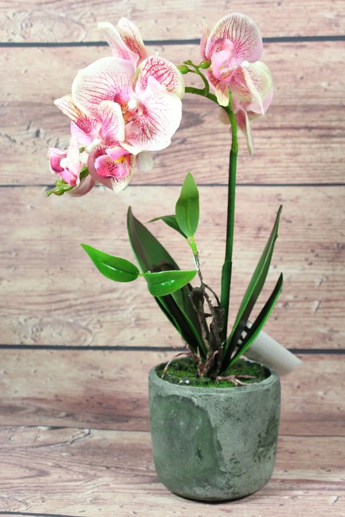 Umelá orchidea v črepníku - ružovo-krémová (v. 39 cm)