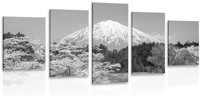 5-dielny obraz hora Fuji v čiernobielom prevedení Varianta: 100x50