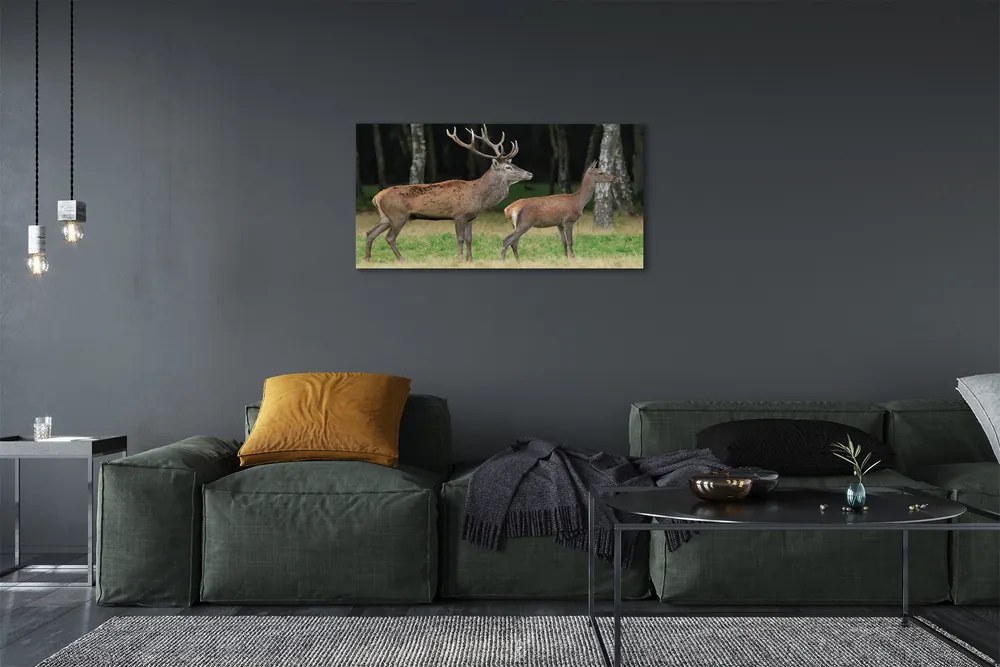 Obraz na plátne jeleň lesný 125x50 cm