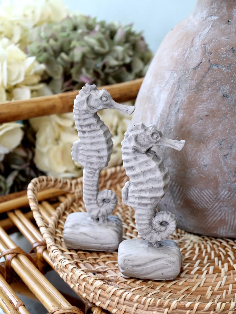 Šedá cementová dekorácia morský koník na podstavci - 8*6*17 cm