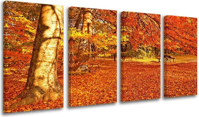 Obraz na stenu STROMY