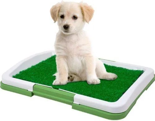 Puppy Potty Pad - Toaleta pre psíkov a mačky