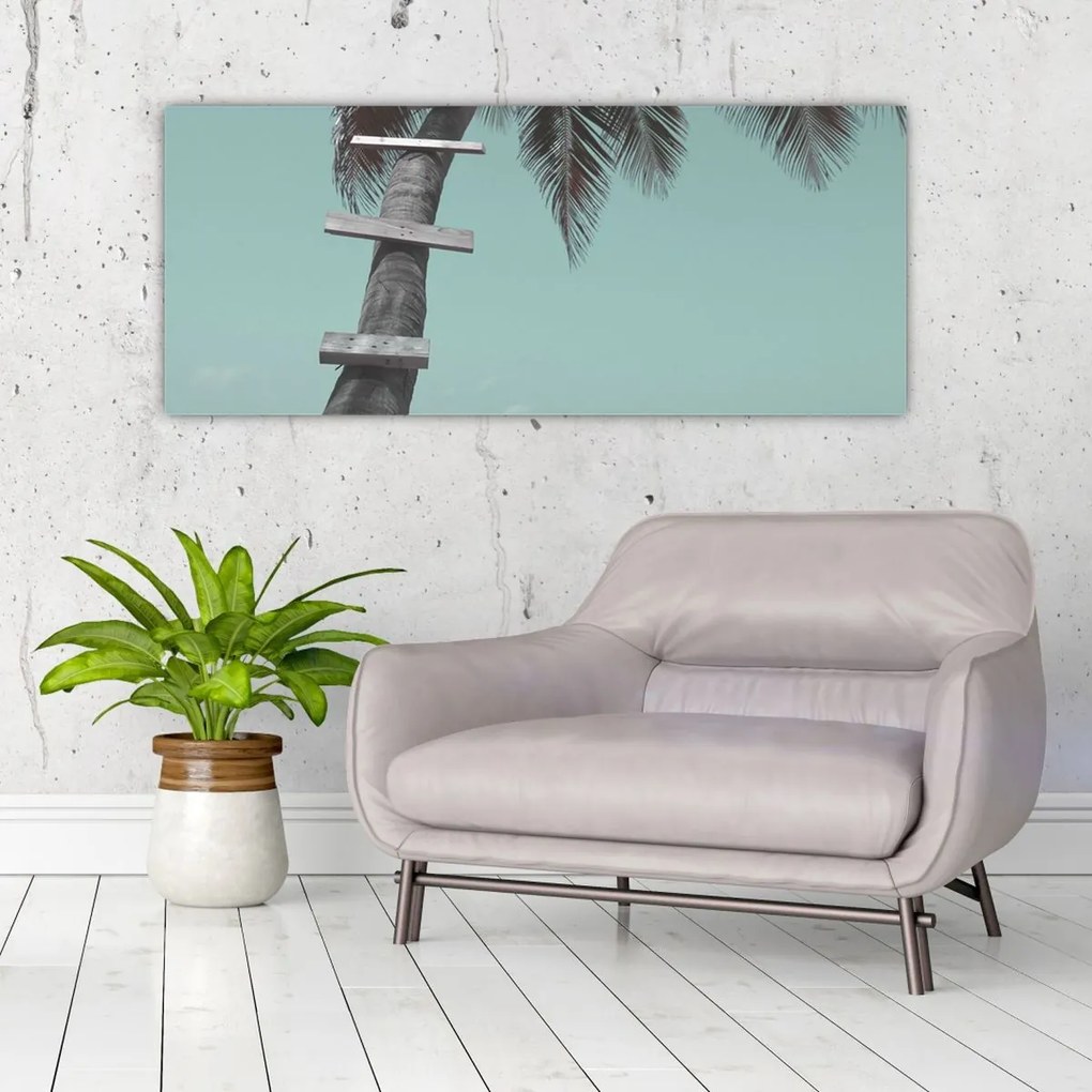Obraz - Palma v Karibiku (120x50 cm)