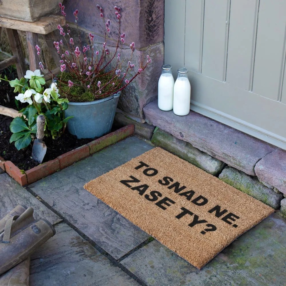 Rohožka z kokosového vlákna 40x60 cm Zase Ty? – Artsy Doormats