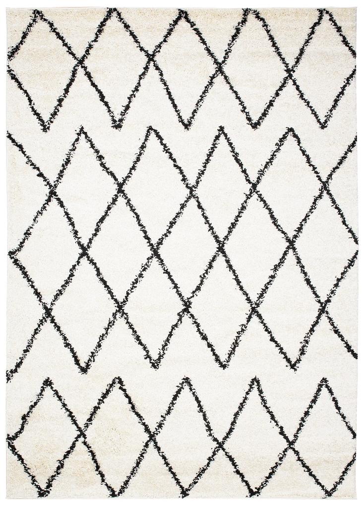 Dizajnový koberec OSLO - SHAGGY ROZMERY: 80x150