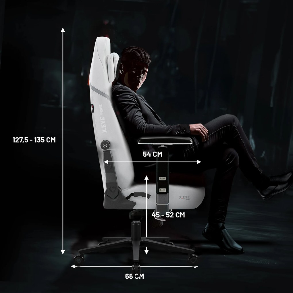 Herné kreslo Normal Size, čierne: Diablo X-Eye Prime Ghosted White