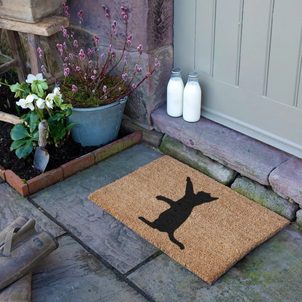 Rohožka z kokosového vlákna 40x60 cm Cat – Artsy Doormats