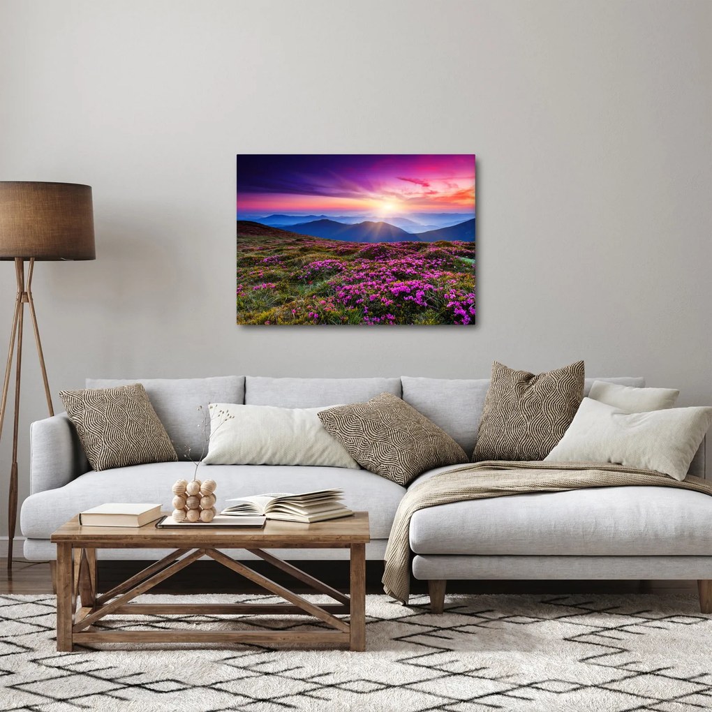 Obraz - Horská rozkvitnutá krajina (70x50 cm)