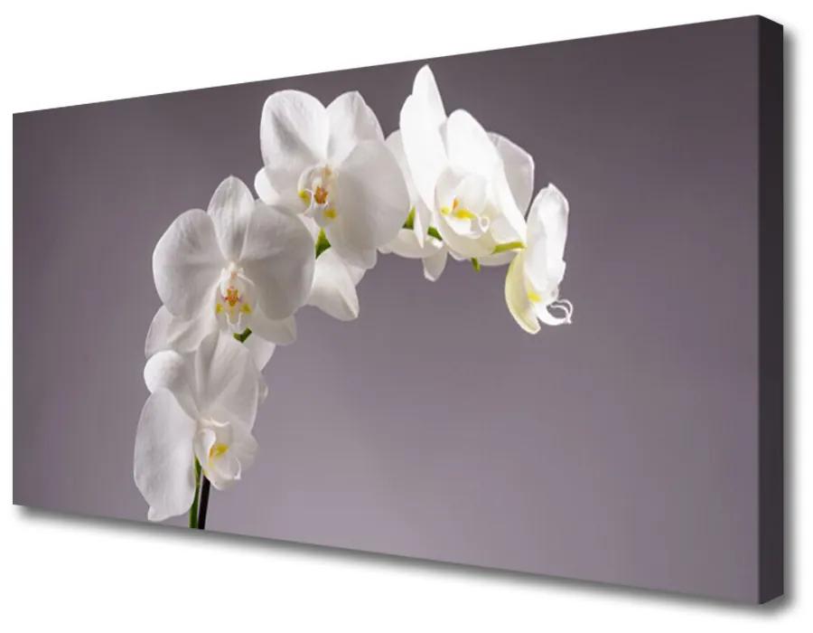 Obraz Canvas Kvety rastlina príroda 140x70cm