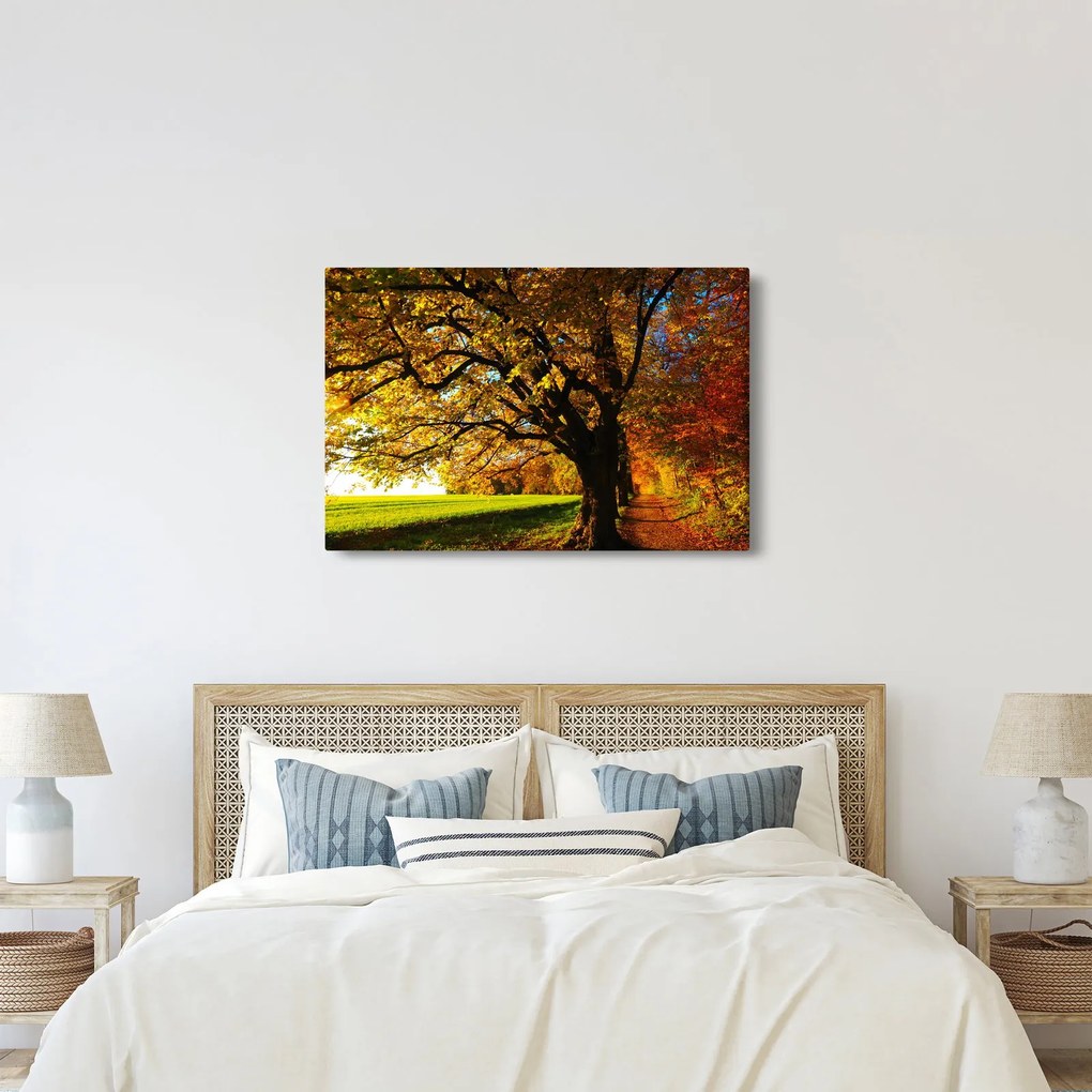 Obraz jesenného stromu (90x60 cm)