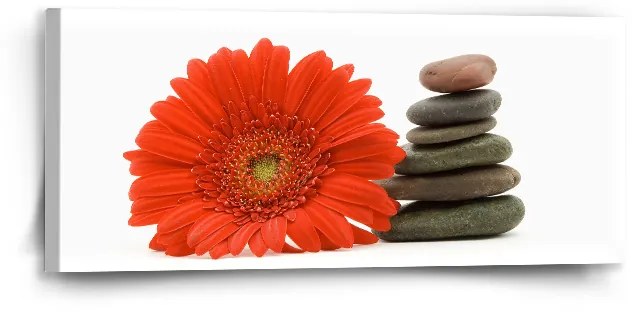 Sablio Obraz Gerbera s kameňmi - 110x50 cm