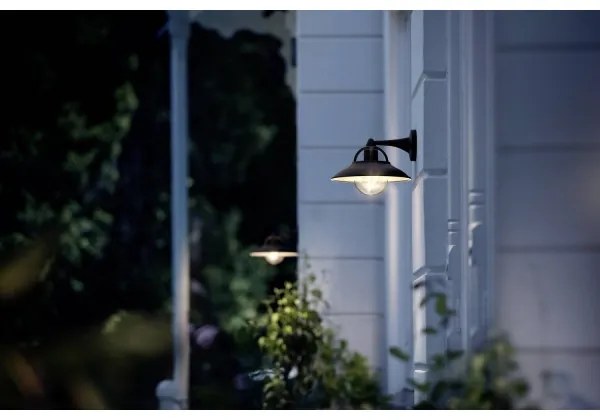 Philips 17381/30/PN - Vonkajšie nástenné svietidlo COMORANT 1xE27/42W/230V IP44