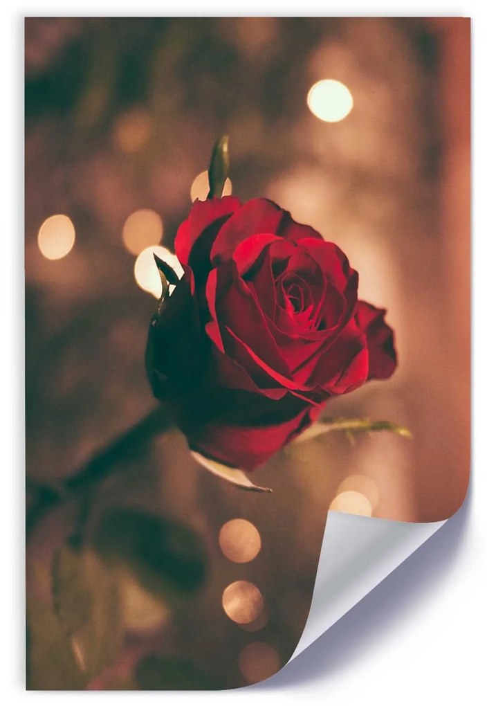 Gario Plagát Červená ruža Farba rámu: Bez rámu, Rozmery: 30 x 45 cm