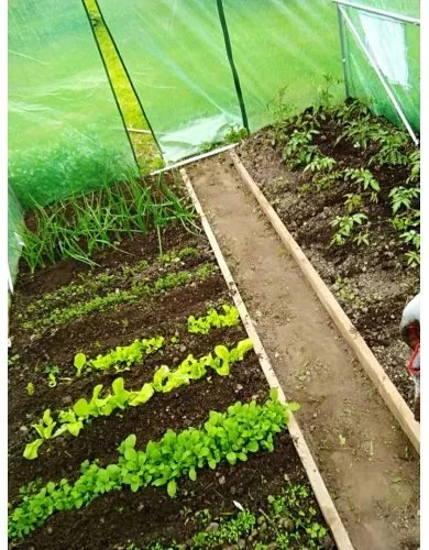 Záhradný fóliovník 3m x 2m x 2m GARDEN LINE – TUN5207