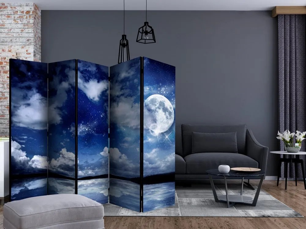 Artgeist Paraván - Magic Night II [Room Dividers]