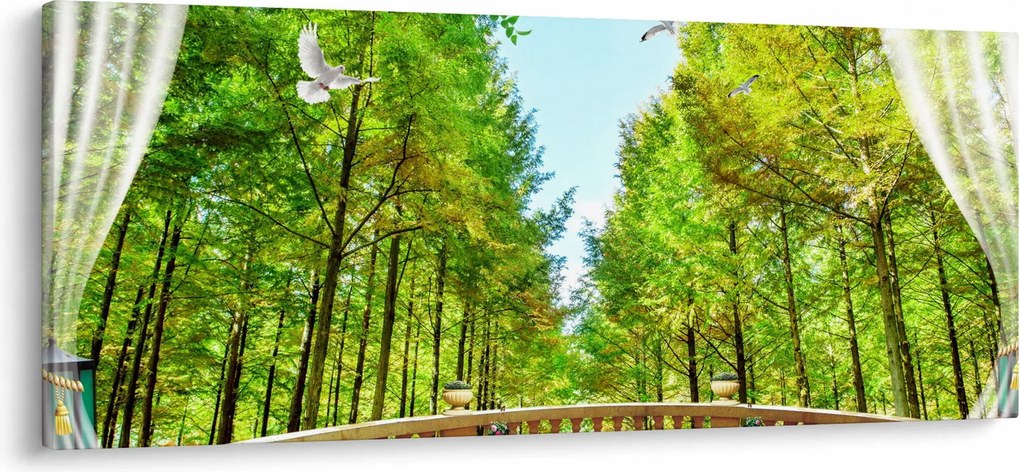 Obraz - Výhľad na les (120x50 cm)