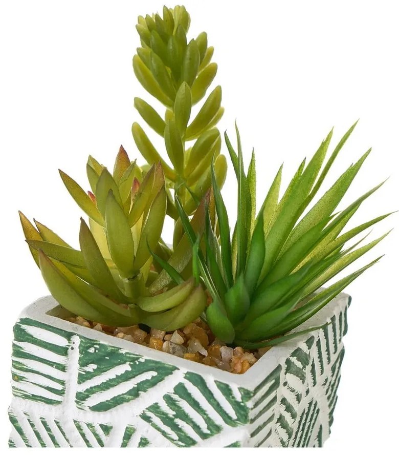 Umelé rastliny v súprave 3 ks (výška 12 cm) Cactus – Casa Selección