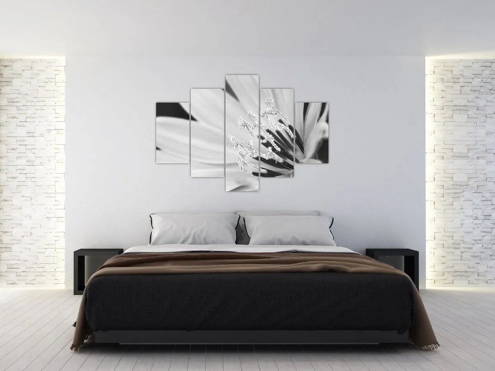 Obraz - Čiernobiely kvet (150x105 cm)