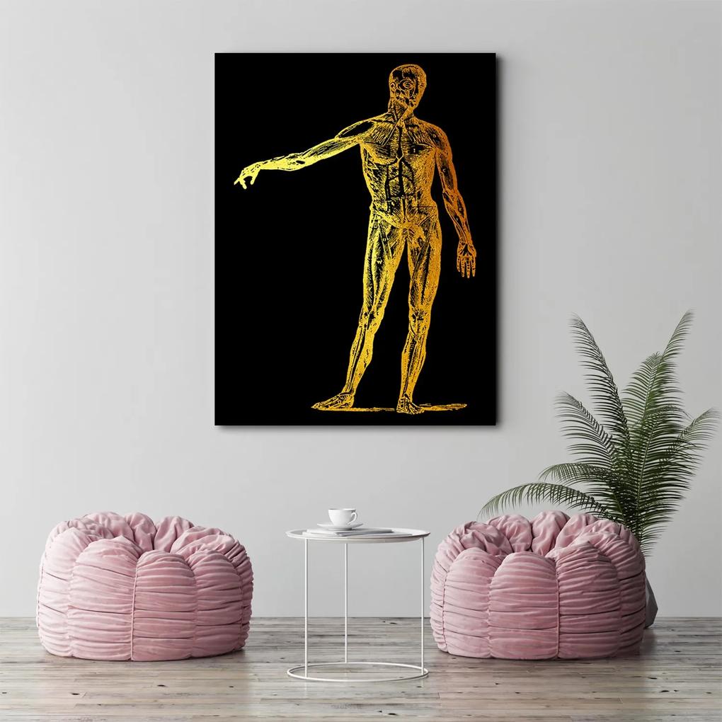Gario Obraz na plátne Zlatá anatómia, telo - Gab Fernando Rozmery: 40 x 60 cm