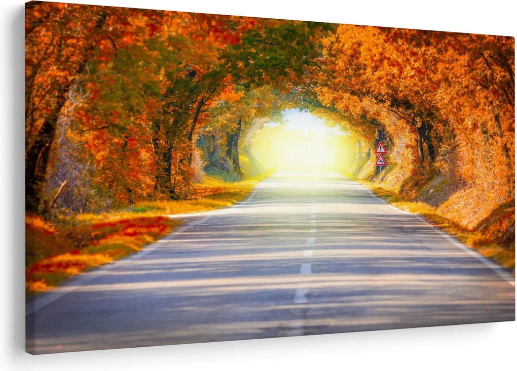 Obraz - Brána z korún stromov (90x60 cm)