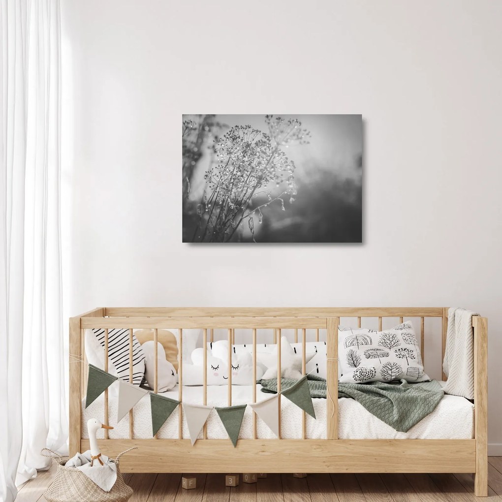 Sklenený obraz - Lúka po daždi (70x50 cm)