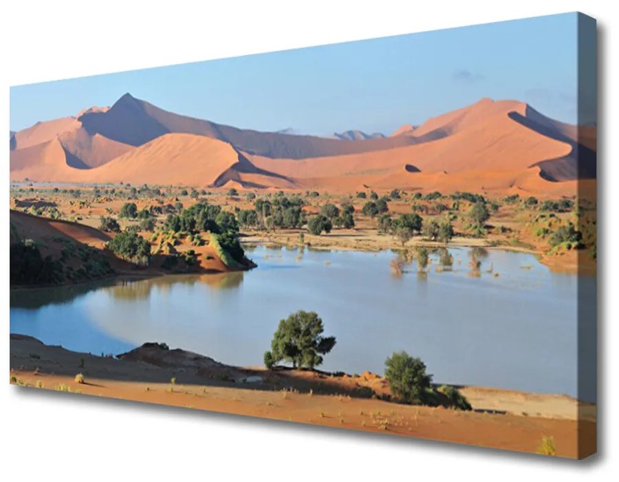 Obraz Canvas Jazero púšť krajina 120x60 cm