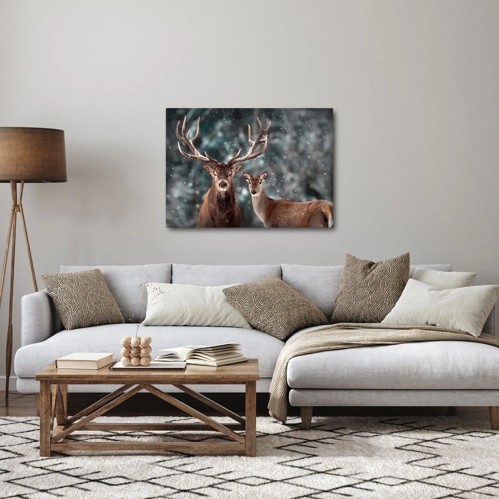 Obraz - Jeleň a laň v zasneženom lese (70x50 cm)