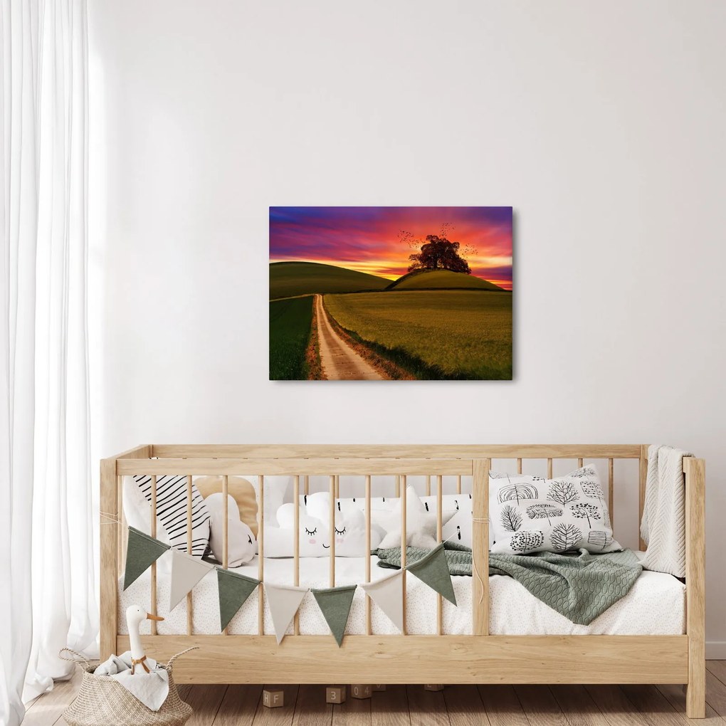 Obraz poľa a farebného neba (70x50 cm)