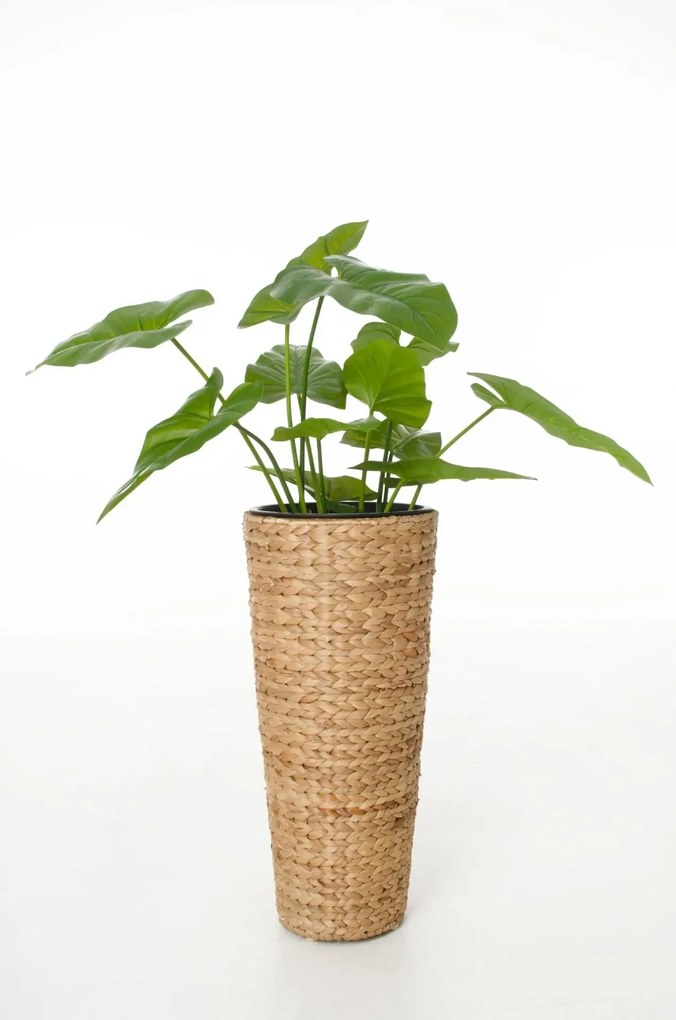 Kvetináč CLASSIC ROUND, vodný hyacint, výška 60 cm, natur