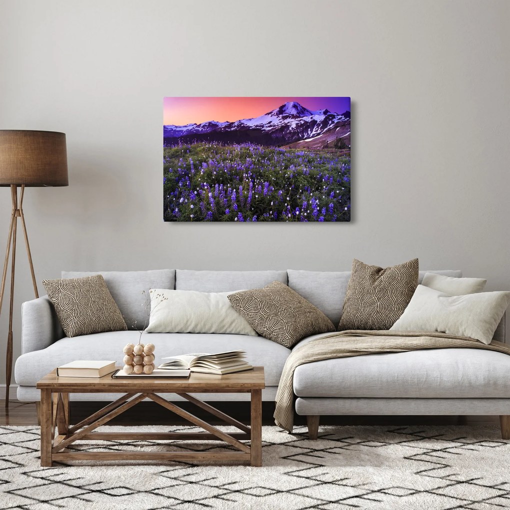 Obraz - Sopka a kvety (90x60 cm)