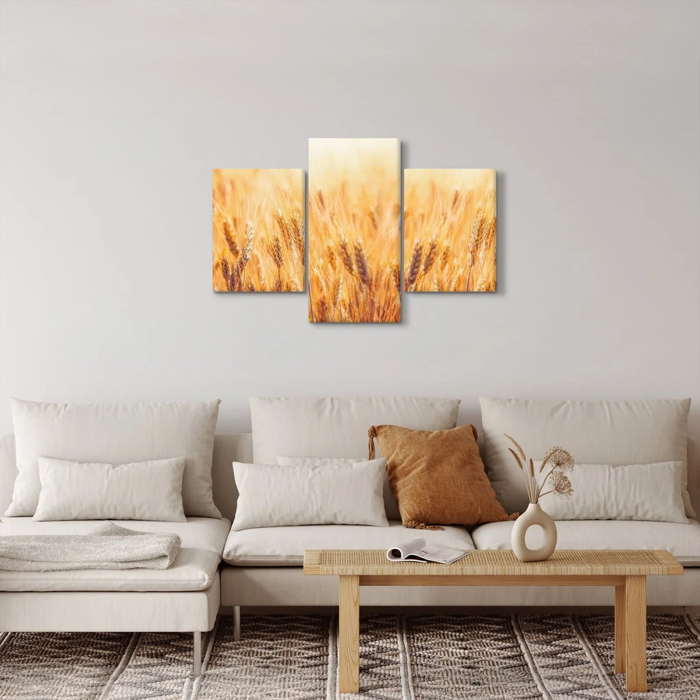 Obraz - pole s obilím (90x60 cm)