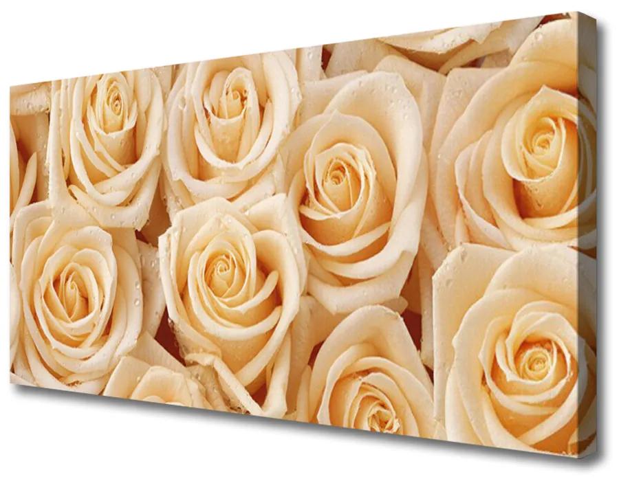 Obraz na plátne Ruže kvety rastlina 140x70cm