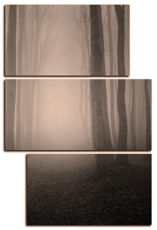 Obraz na plátne - Hmla v lese - obdĺžnik 7182FD (120x80 cm)