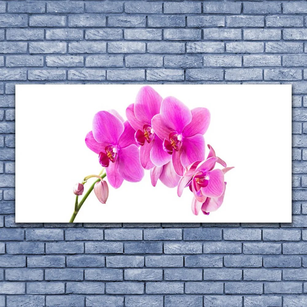 Obraz plexi Vstavač kvet orchidea 120x60 cm