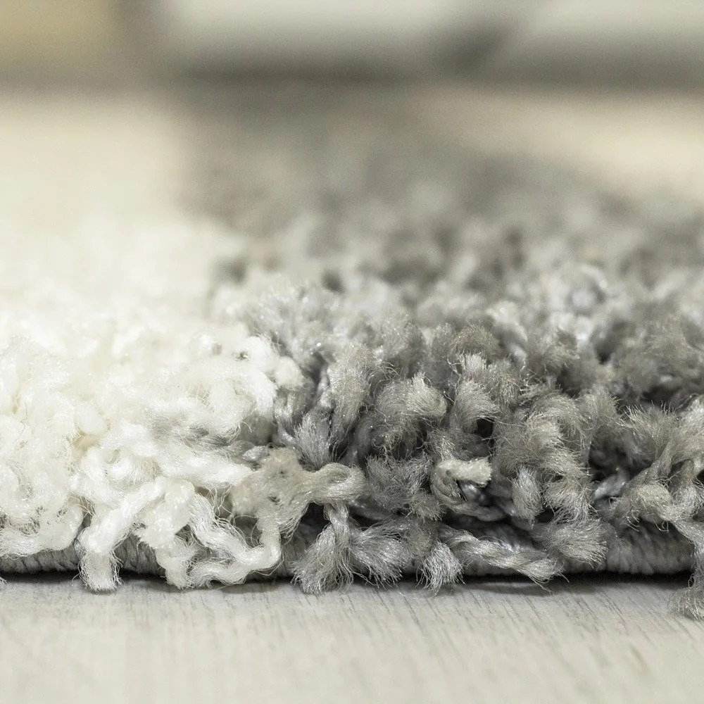 Sivý koberec 200x290 cm Gala – Ayyildiz Carpets