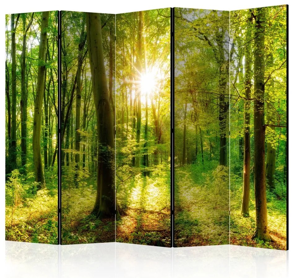 Artgeist Paraván - Forest Rays [Room Dividers]