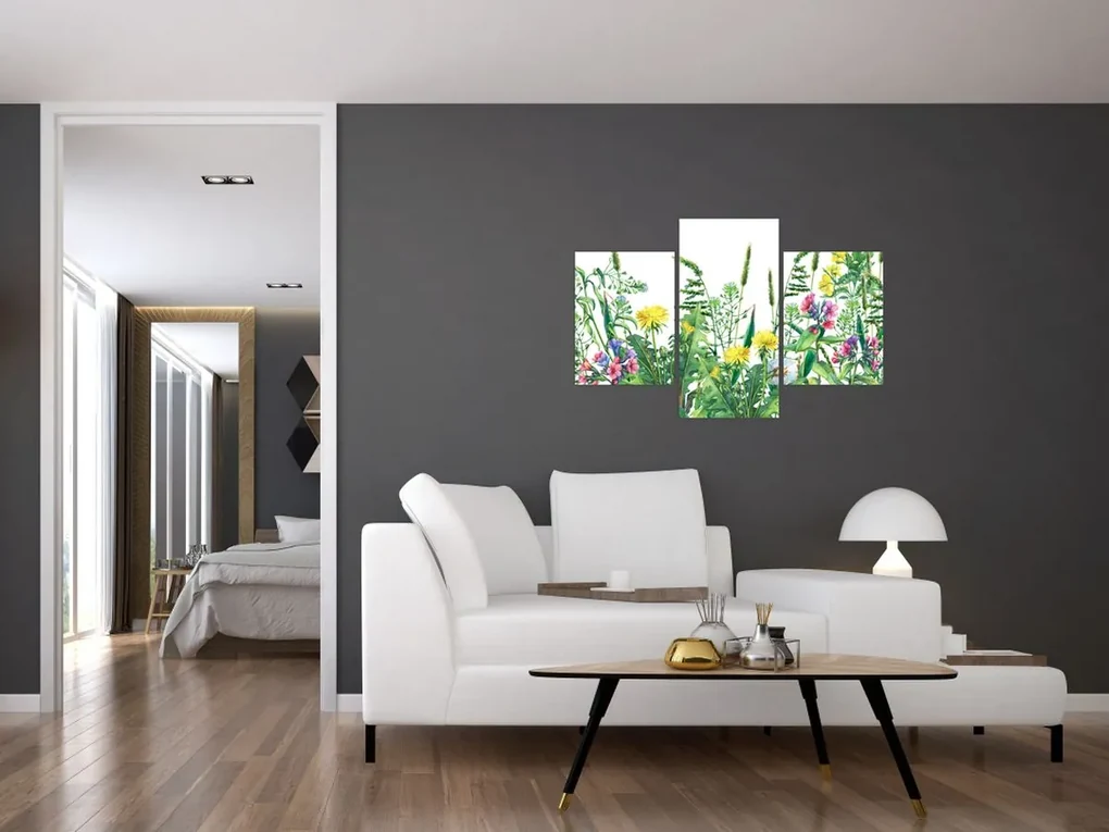 Obraz - Maľované lúčne kvety (90x60 cm)