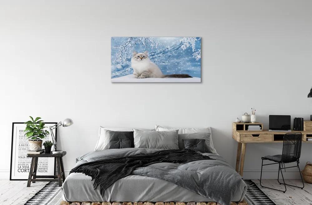 Obraz na plátne mačka zima 125x50 cm