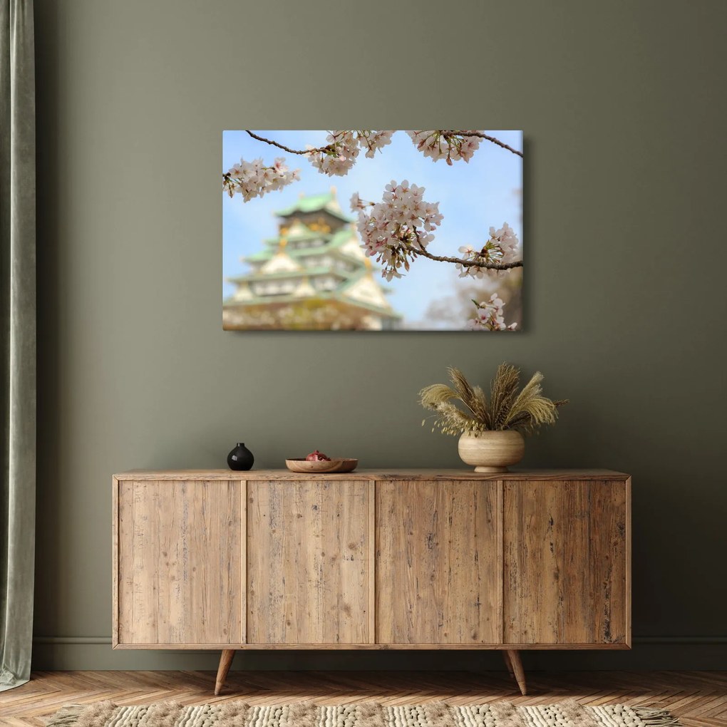 Obraz - Sakura (90x60 cm)