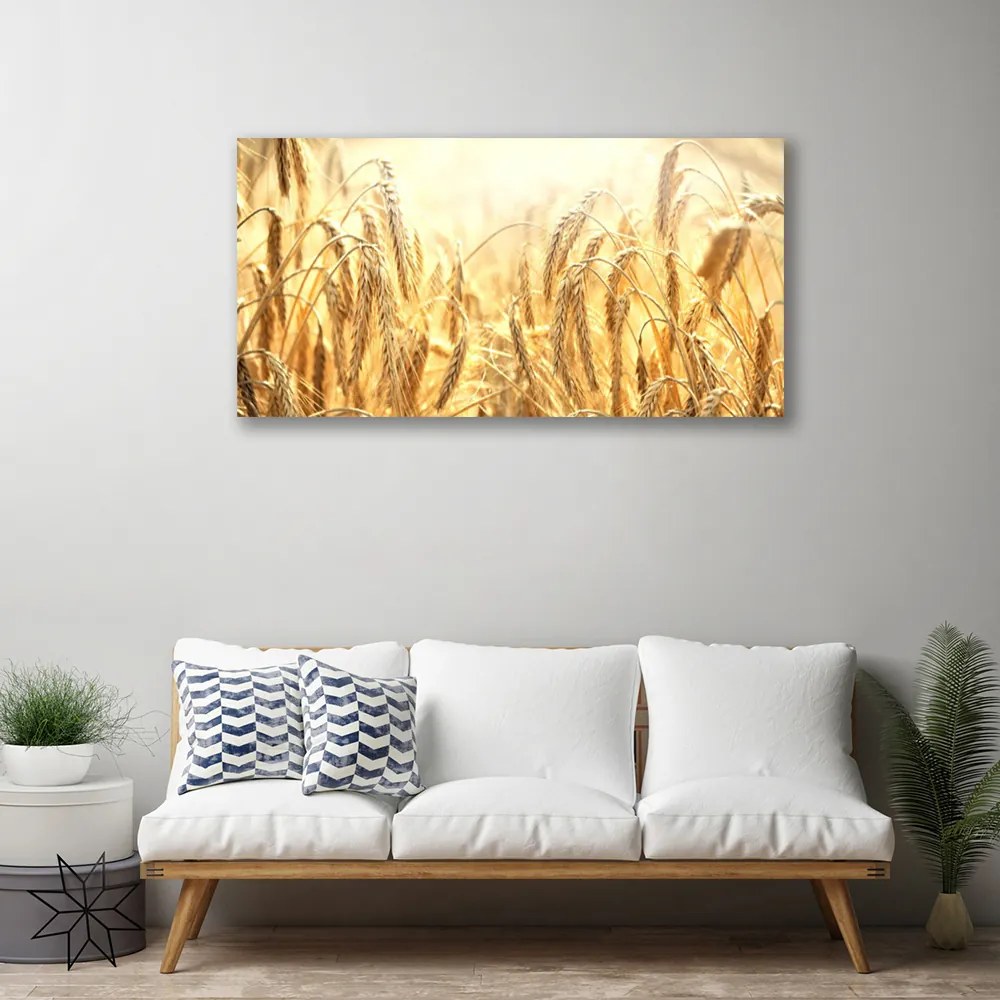 Obraz Canvas Obilie pole klasy príroda 125x50 cm