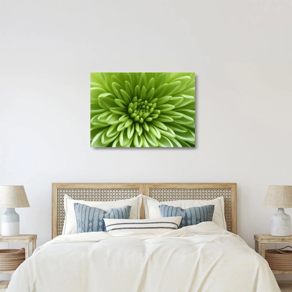 Sklenený obraz - Makro snímka rastliny (70x50 cm)
