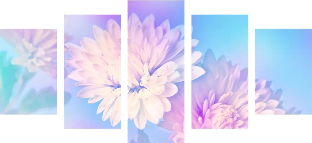 5-dielny obraz kvet chryzantémy Varianta: 100x50