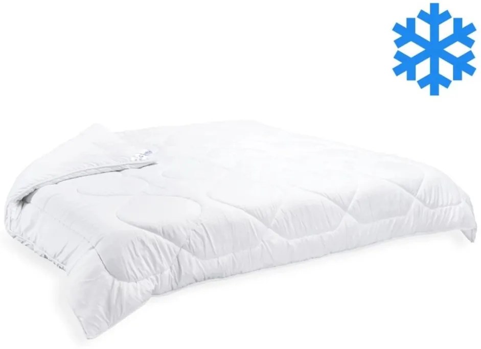 Brotex Prikrývka Thermo 220x200cm zimná 2640 g (600g/m2)
