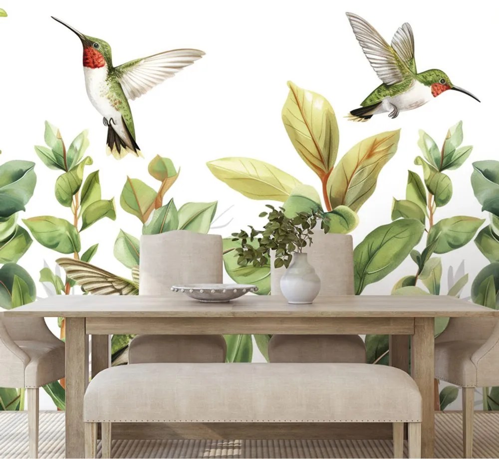 Samolepiaca tapeta kolibríky a listy