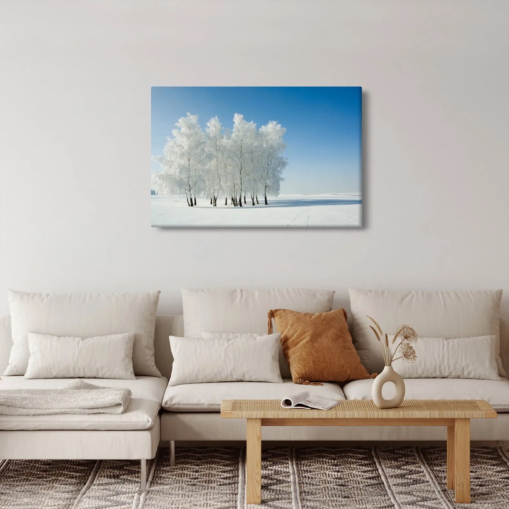 Obraz zasneženej krajiny (90x60 cm)