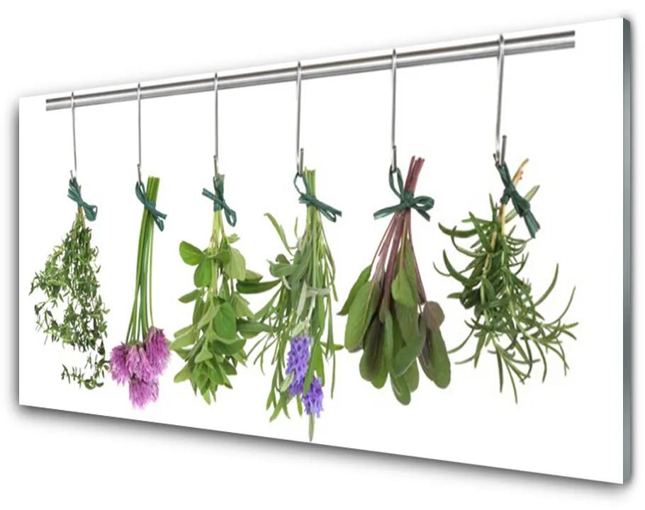 Skleneny obraz Plátky rastlina kuchyňa 100x50 cm