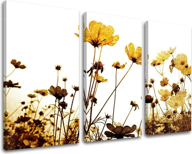 Obraz na stenu 3 dielny KVETY XOBKV143E30 - 90x60 cm