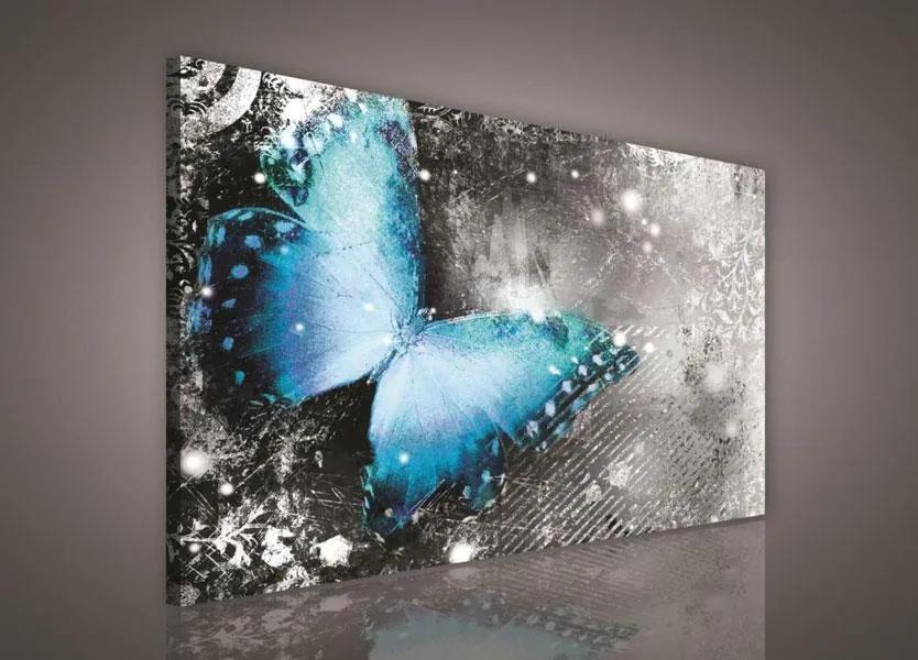 Obraz na stenu motýľ 100 x 75 cm