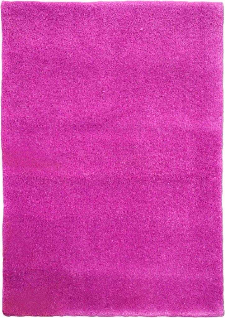 Asra, Ručne všívaný kusový koberec Asra wool lila, 120x170, ružová, obývacia izba