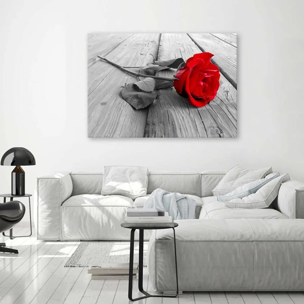 Obraz na plátně Červená růže na podlahových prknech - 100x70 cm
